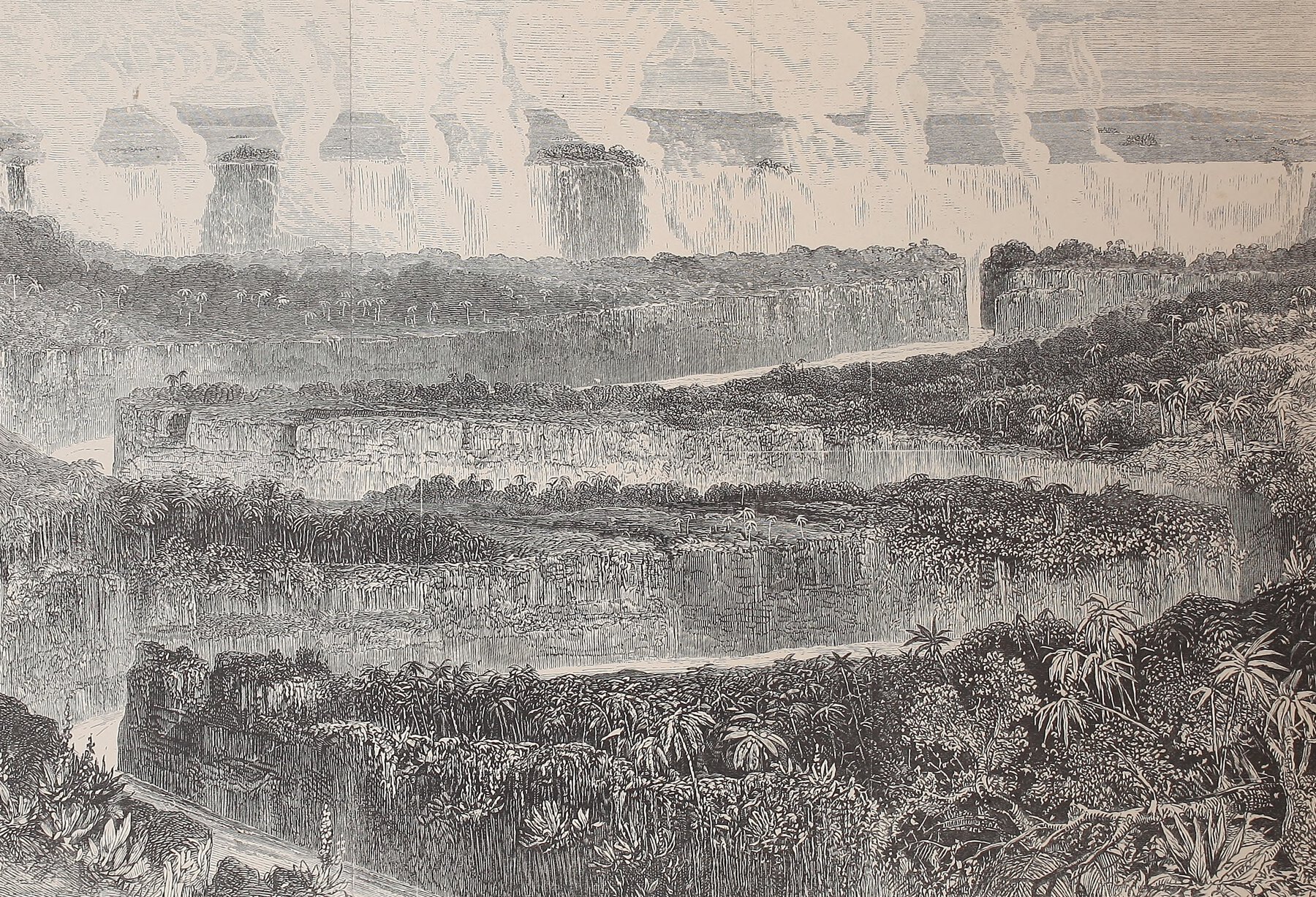 Landscape with trees and Zambesi River gorge; water clouds rising from Victoria Falls in background.